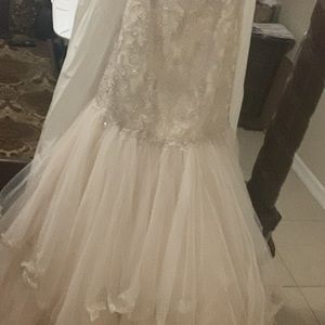 Brand new wedding dress. In bag never used. Has tags.